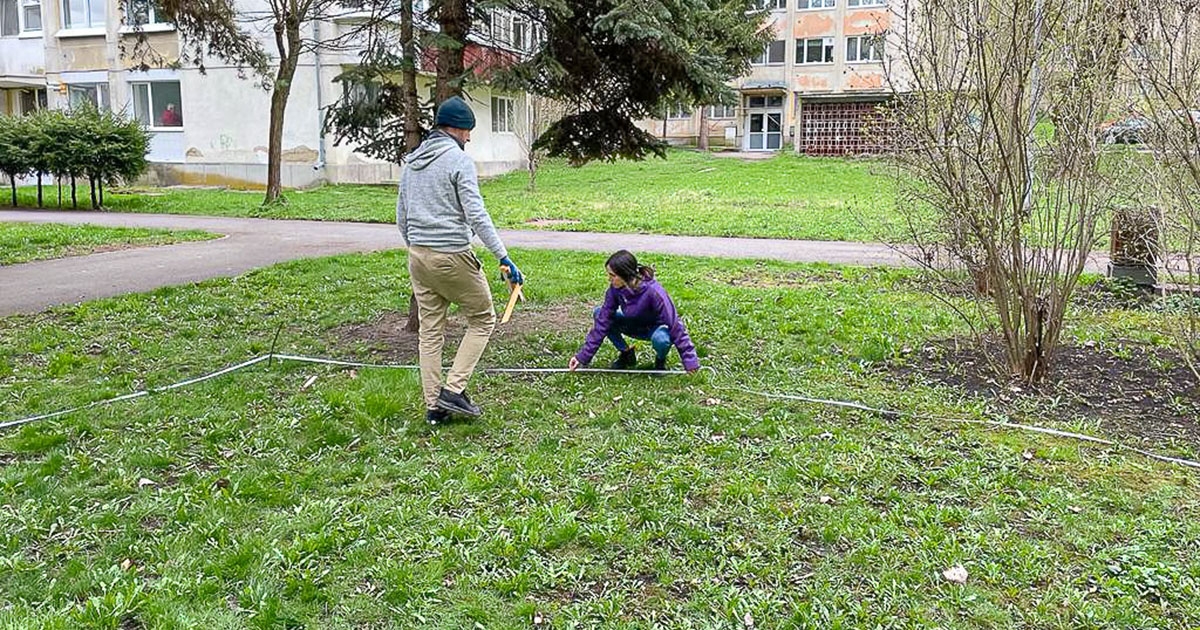 Tansarok a holtfák jelentőségéért